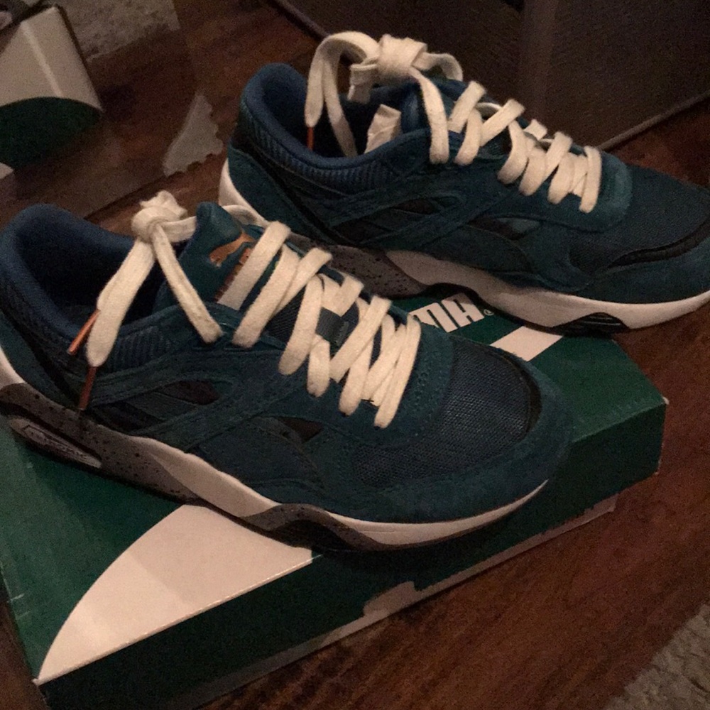 Puma fast graphic
